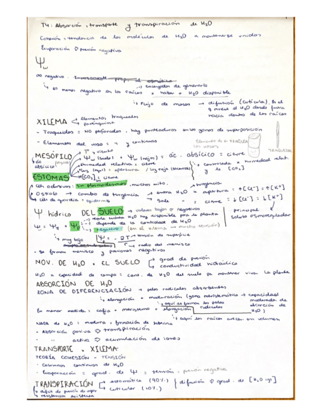 Miniatura del documento TEMA-4-esquema.pdf