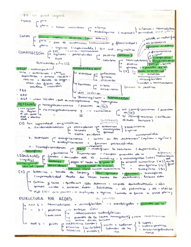 Miniatura del documento TEMA-1-esquema.pdf
