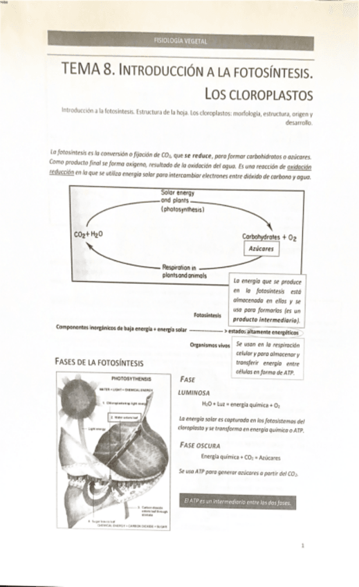 Miniatura del documento TEMA-8-2.pdf