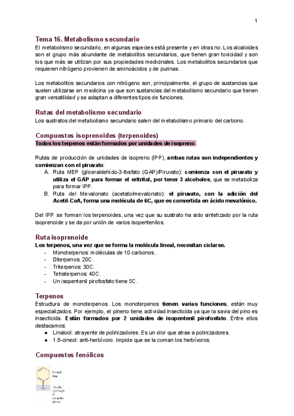 Miniatura del documento Tema-16-metabolismo-secundario.pdf