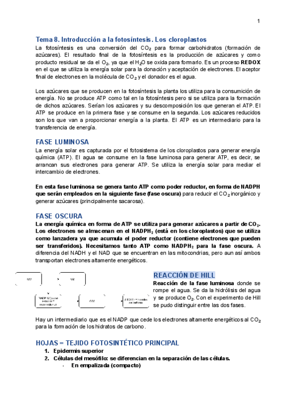 Miniatura del documento Tema-8.pdf