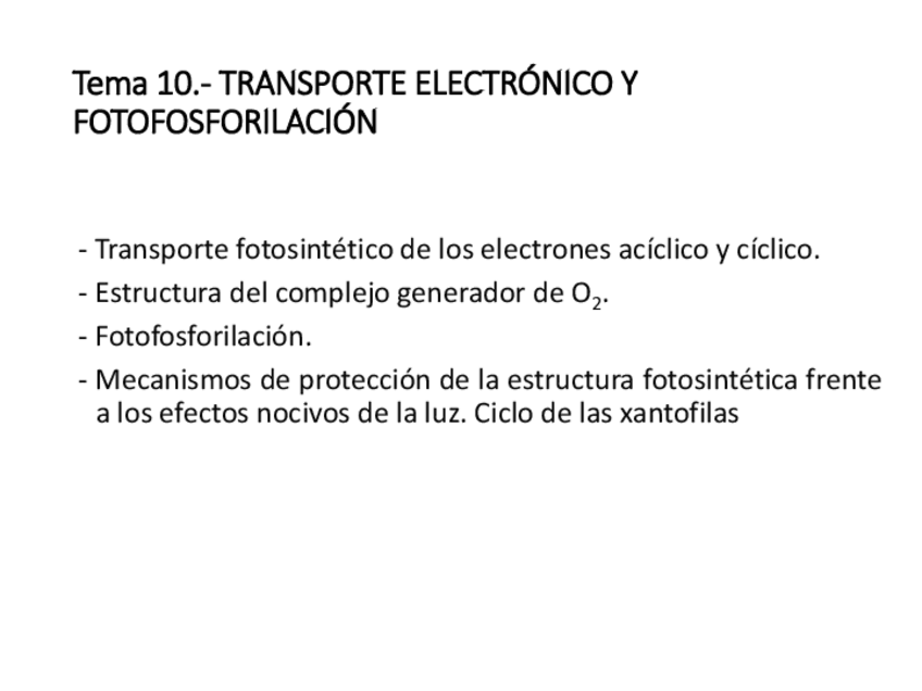 Miniatura del documento Kami-Export-Tema-10-Transporte-electronico-y-fotofosforilaciAn.pdf