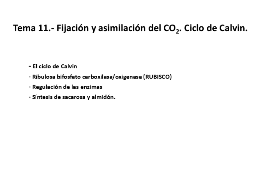 Miniatura del documento Tema-11-Fijacion-Ciclo-Calvin.pdf