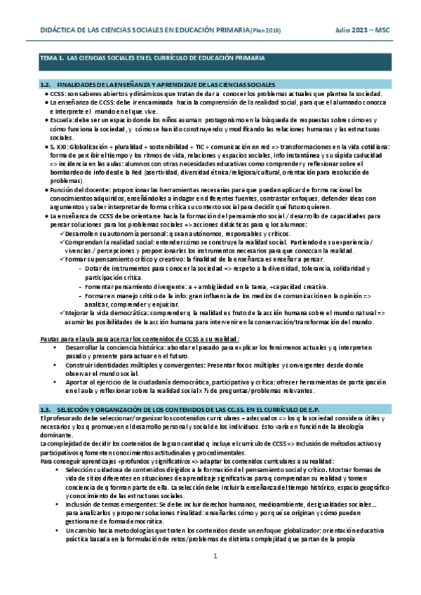 Miniatura del documento Did.-Sociales-Resumen-Manoli.pdf