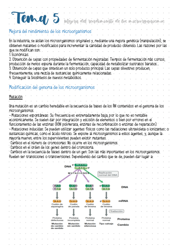 Miniatura del documento Tema-5-Mejora-del-rendimiento-de-los-microorganismos.pdf
