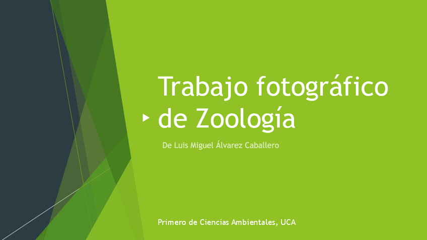 Miniatura del documento Trabajo-fotografico-de-Zoologia-8-filos--Localizaciones.pdf