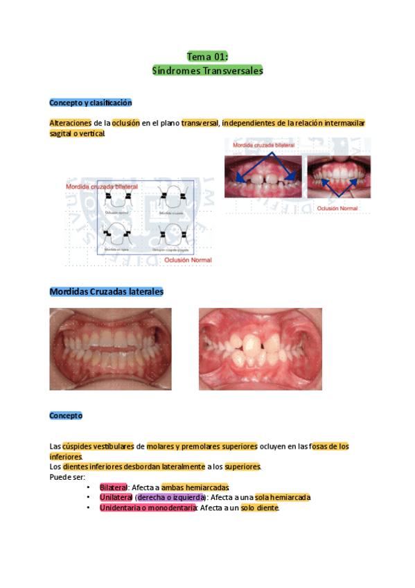 Miniatura del documento Tema-01-Sindromes-Transversales.pdf