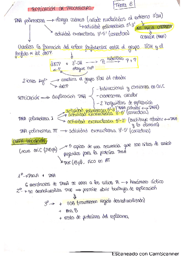 Miniatura del documento Resumenes-BioM.pdf