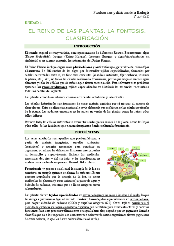 Miniatura del documento unidad-4-bio.pdf
