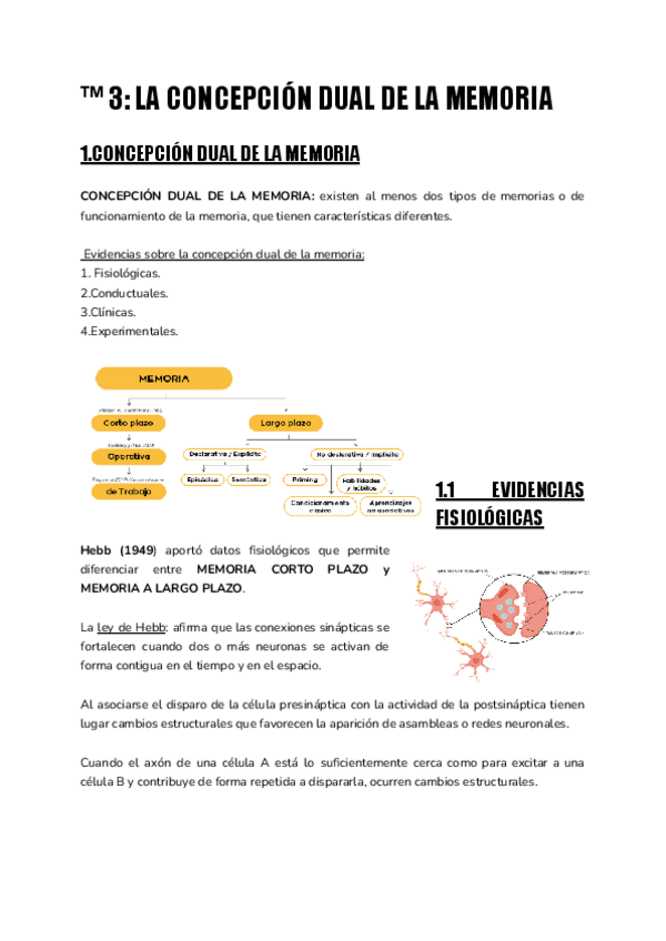 Miniatura del documento TM-3-MEMORIA.pdf