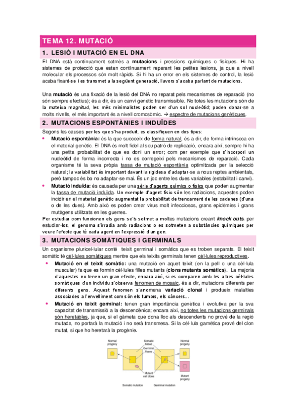 Miniatura del documento TEMA-12.-MUTACIO.pdf