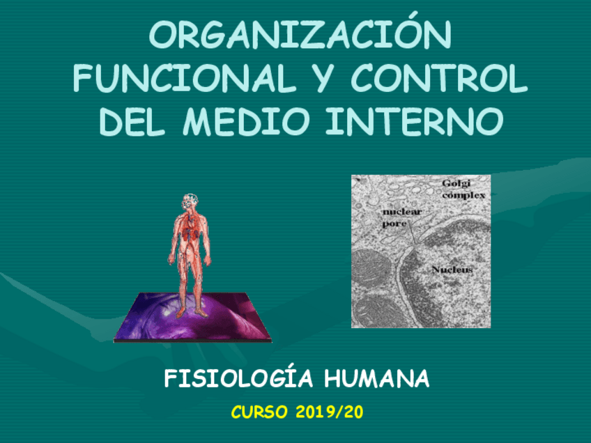 Miniatura del documento 2.-Homeostasis.pdf