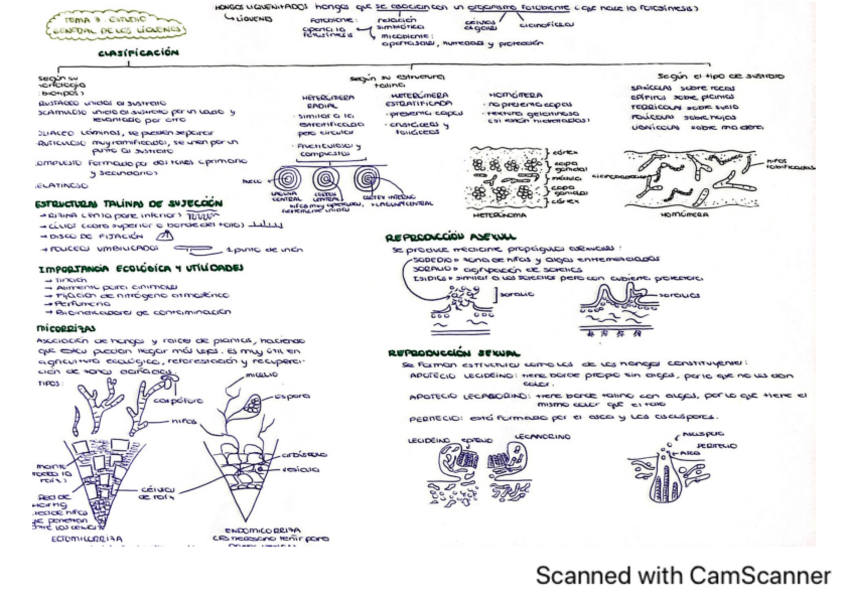 Miniatura del documento botanica-tema-3.pdf