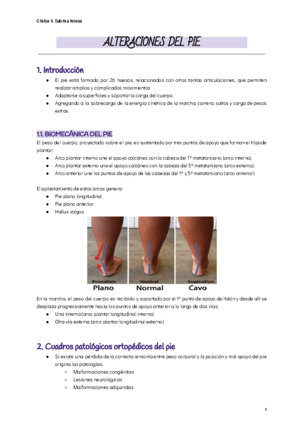Miniatura del documento ALTERACIONES-DEL-PIE.pdf