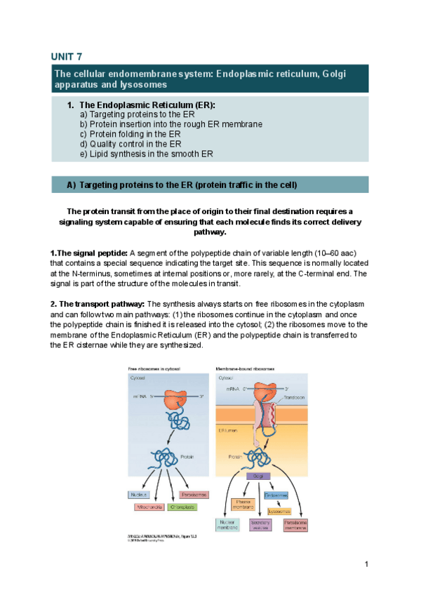 Miniatura del documento UNIT-7-BIOLOGY.pdf