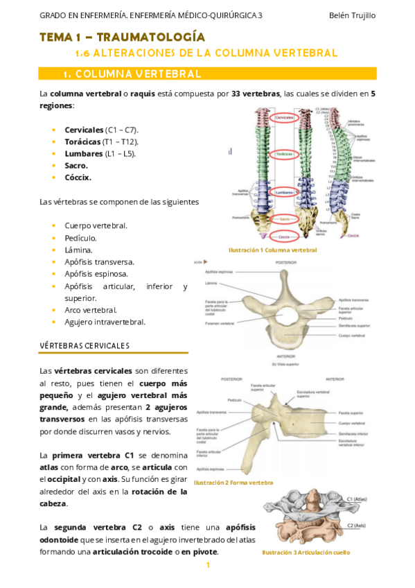 Miniatura del documento MQ3-Tema1-Traumatologia-6AlteracionesColumnaVertebral.pdf