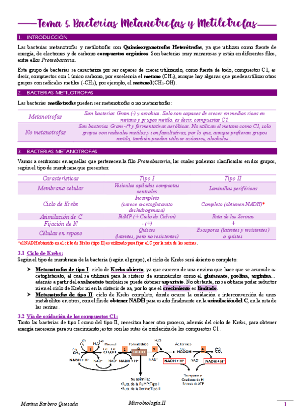 Miniatura del documento Tema-5.-Bacterias-Metanotrofas-y-Metilotrofas.pdf