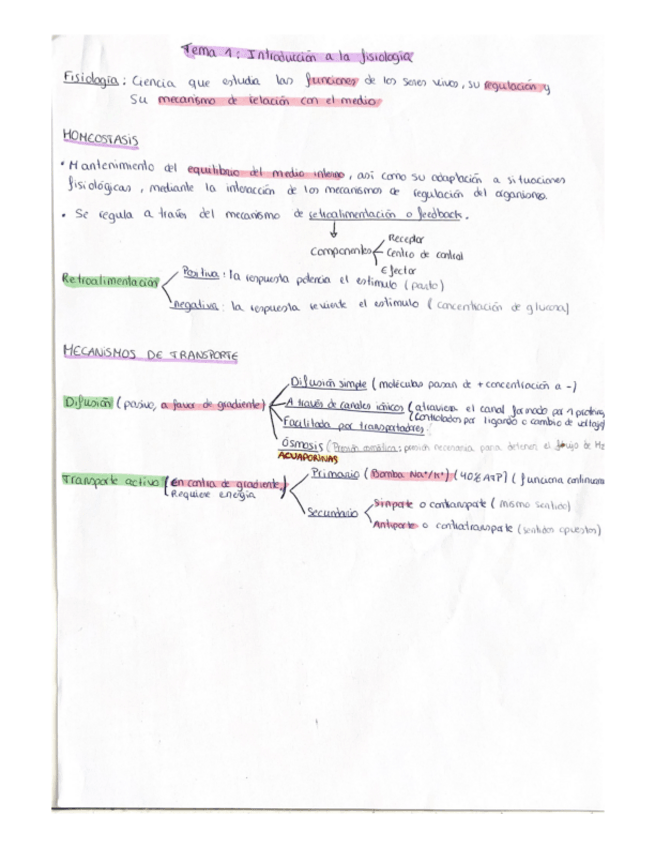 Miniatura del documento Esquemas-fisio-general.pdf