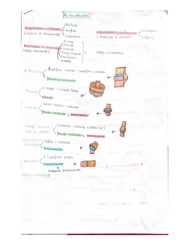 Miniatura del documento Articulaciones.pdf