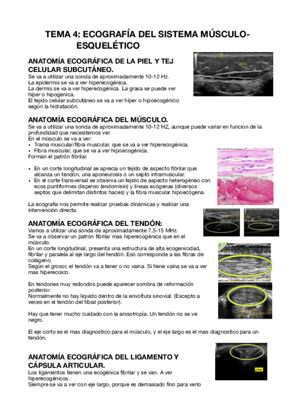 Miniatura del documento Tema-4.-Resumen.pdf