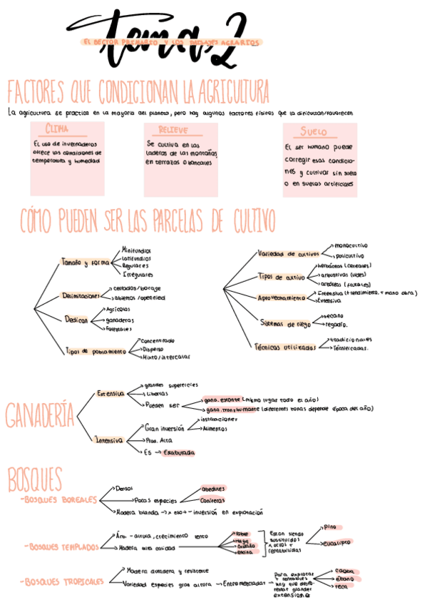 Miniatura del documento 3oESO.-TEMA2.-El-sector-primario-y-los-paisajes-agrarios.pdf