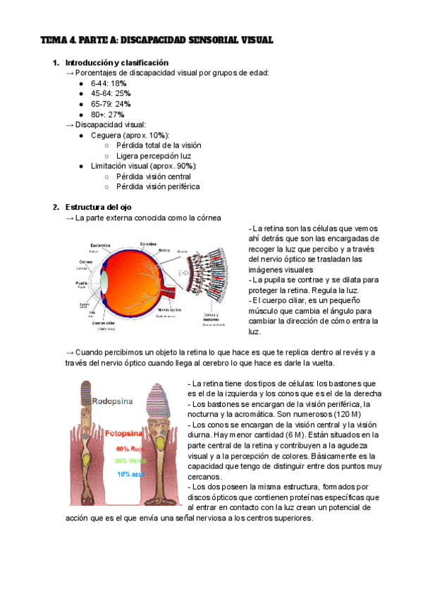 Miniatura del documento TEMA-4.A.-DISCAPACIDAD.pdf