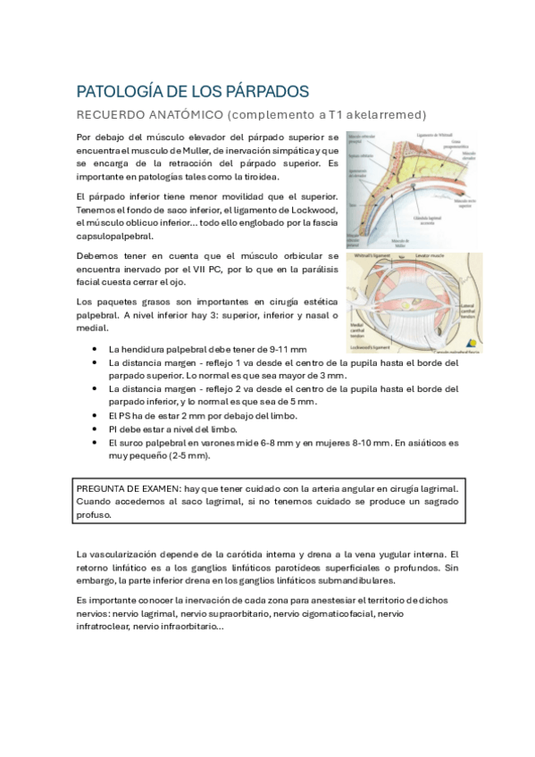 Miniatura del documento 8. Patología de los párpados.pdf