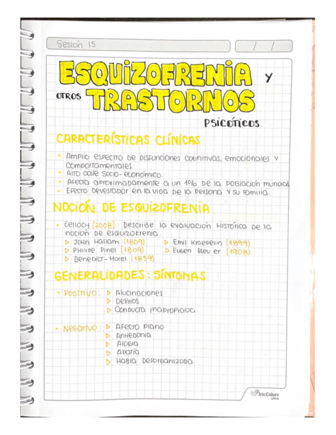 Miniatura del documento ESQUIZOFRENIA-Y-OTROS-TRASTORNOS-PSICOTICOS.pdf