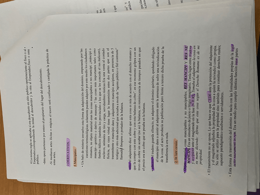 Miniatura del documento IMG7753.jpeg