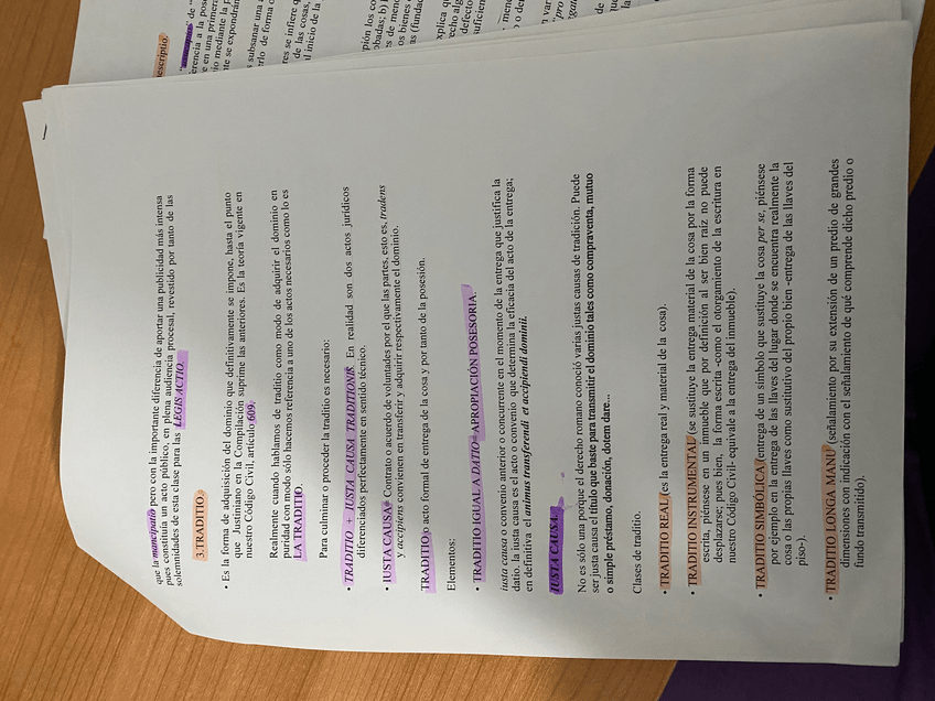 Miniatura del documento IMG7754.jpeg