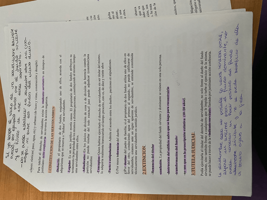 Miniatura del documento IMG7758.jpeg