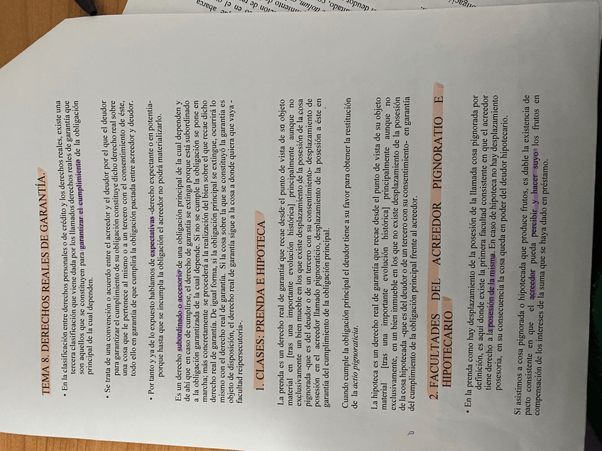 Miniatura del documento IMG7761.jpeg