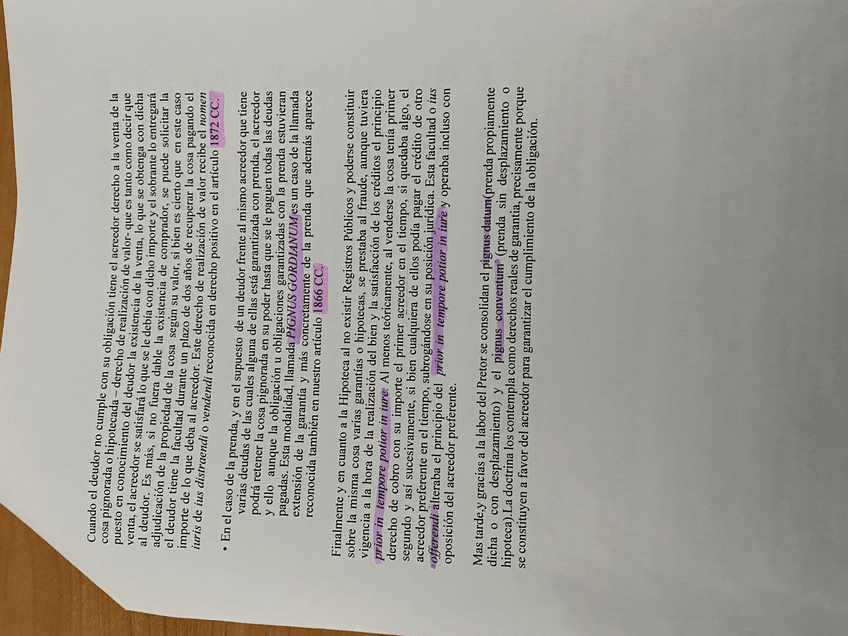 Miniatura del documento IMG7762.jpeg