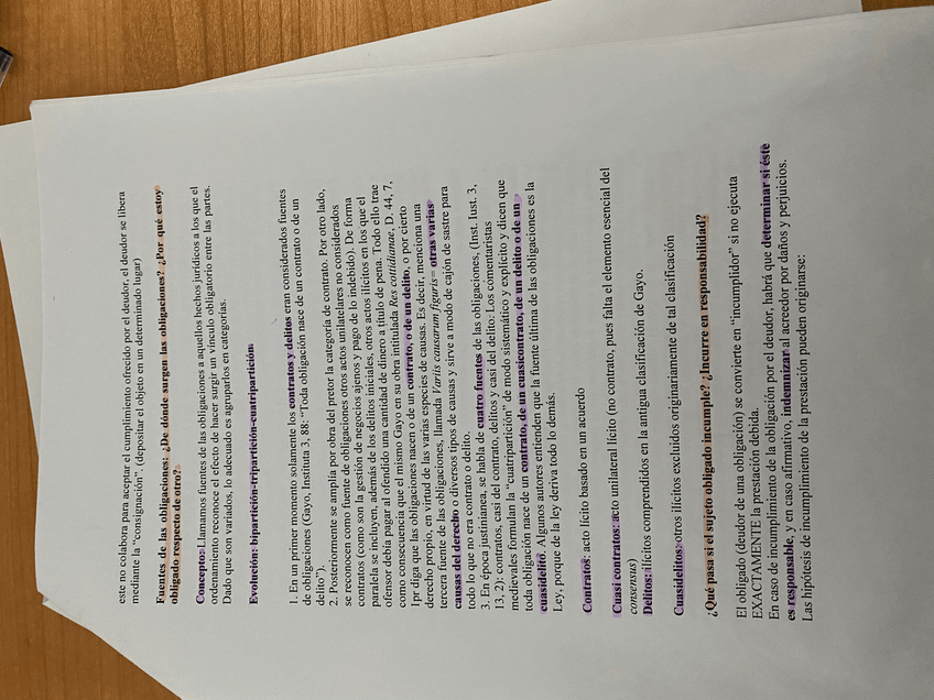 Miniatura del documento IMG7766.jpeg