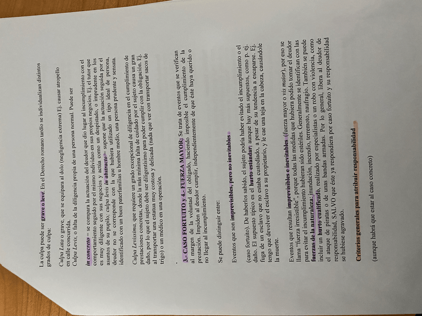 Miniatura del documento IMG7768.jpeg