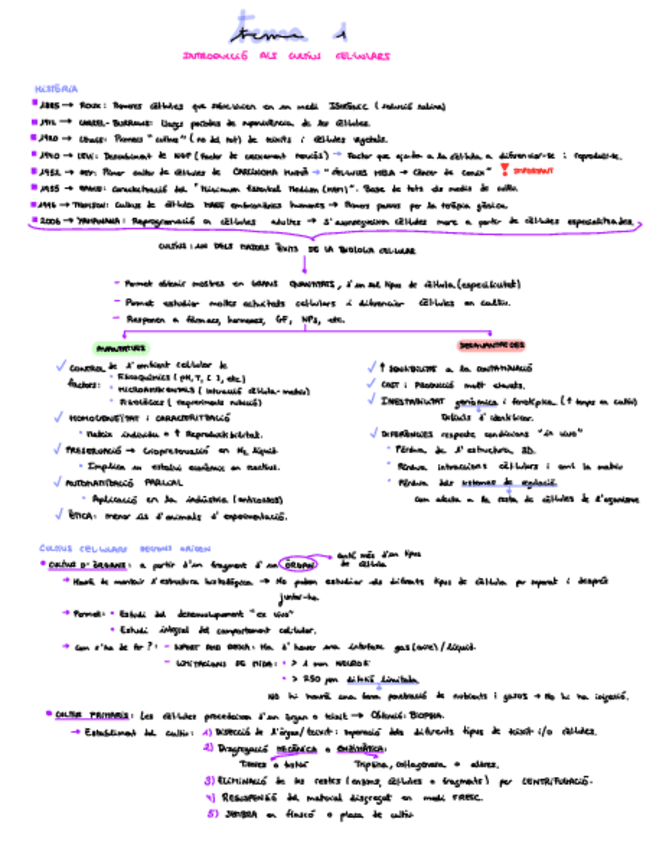 Miniatura del documento MICCTema-1.pdf