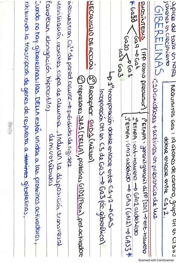 Miniatura del documento tarjetas-hormonas-vegetales.pdf