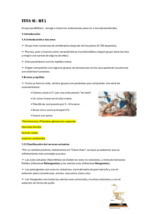 Miniatura del documento TEMA-16-AVES.pdf