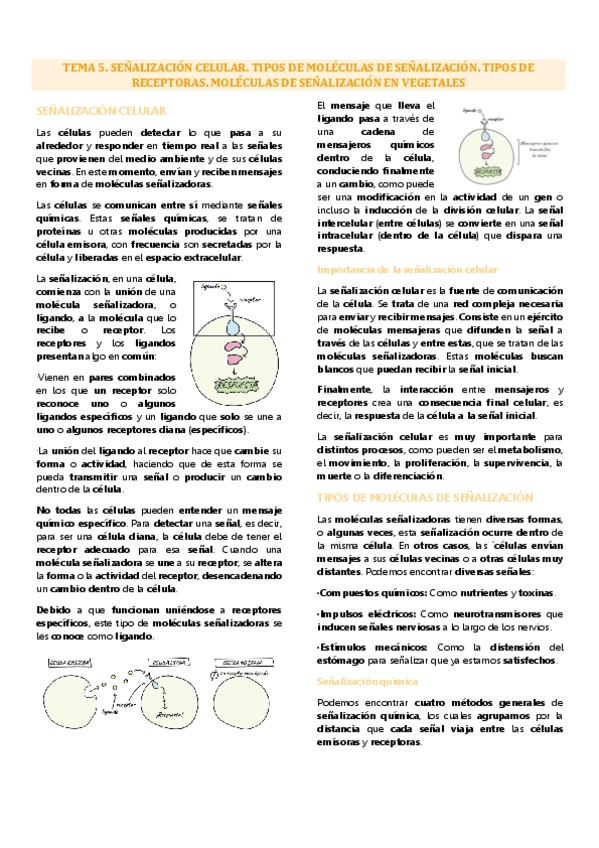Miniatura del documento Tema 5 biología celular, señalización celular.pdf