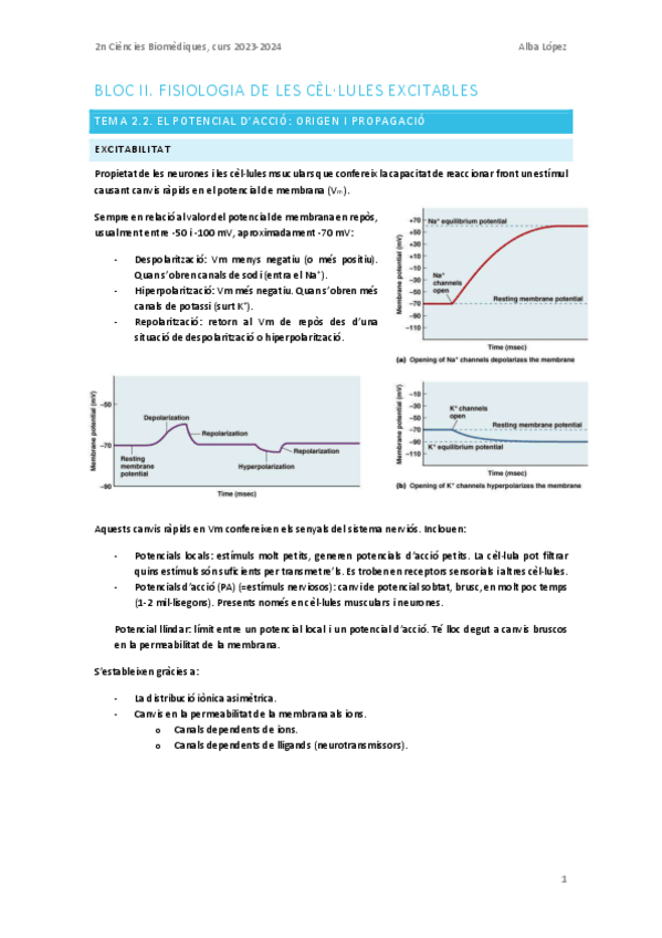 Miniatura del documento Tema-2.2.-El-potencial-daccio-origen-i-propagacio.pdf