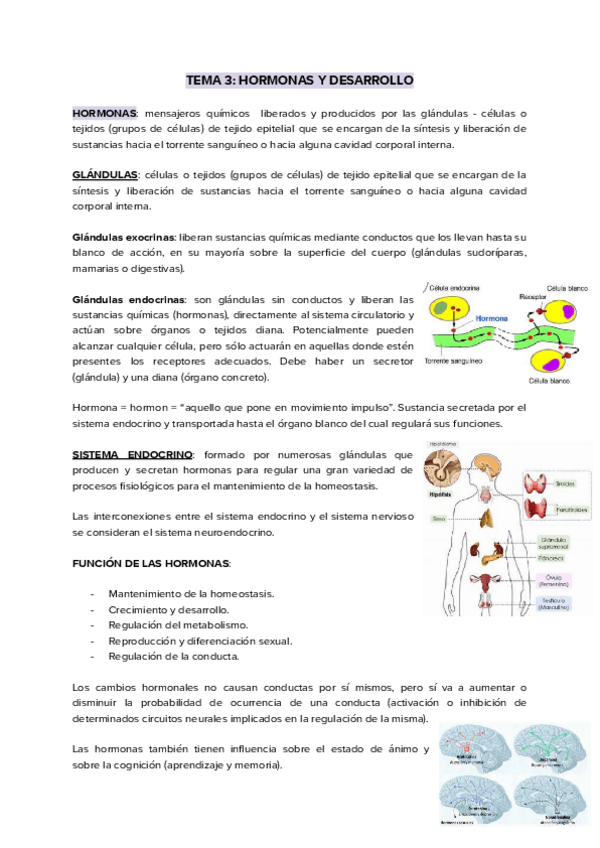 Miniatura del documento TEMA-3-PSICOLOGIA-DEL-CICLO-VITAL-PSICOBIOLOGIA-DEL-DESARROLLO.pdf