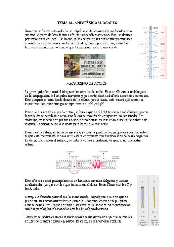 Miniatura del documento 14.-Anestesicos-locales.pdf