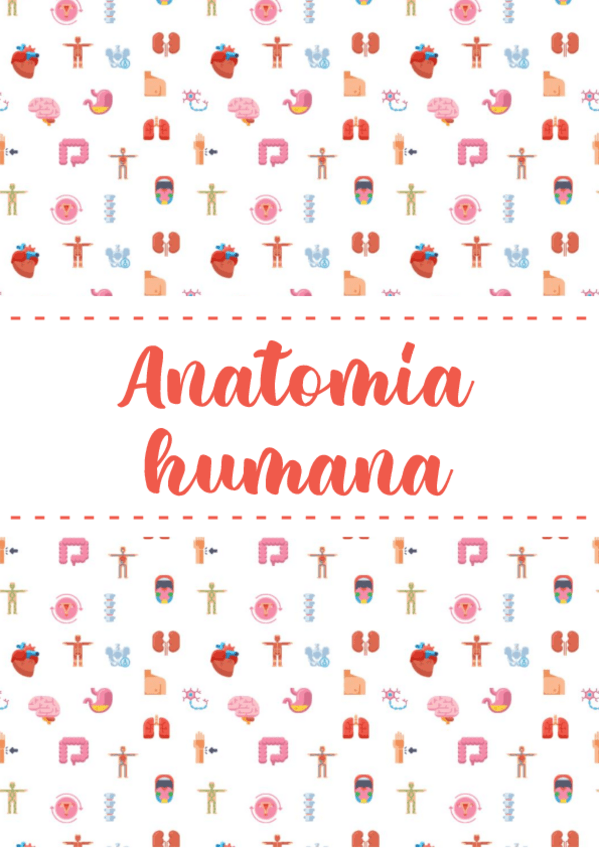 Miniatura del documento Apuntes-Anatomia.pdf