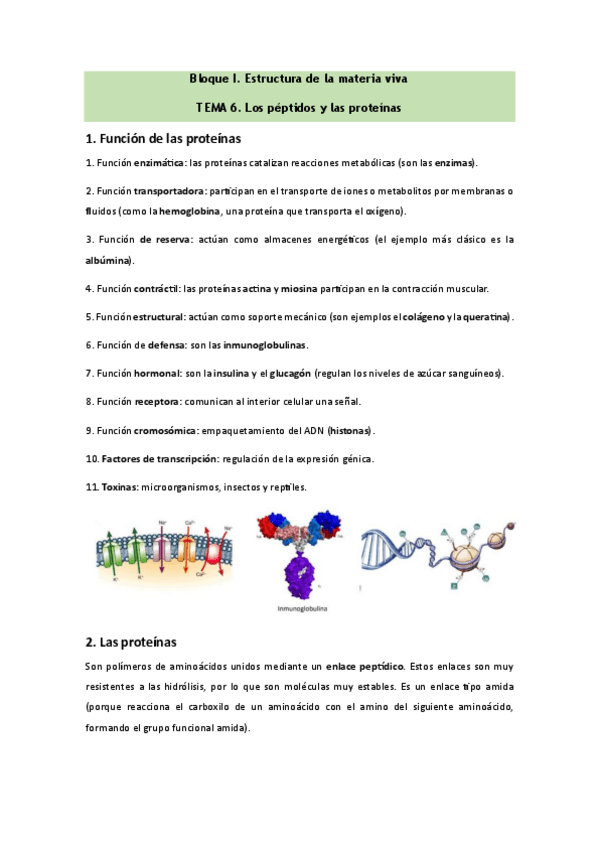 Miniatura del documento Bioquimica-Tema-6.pdf