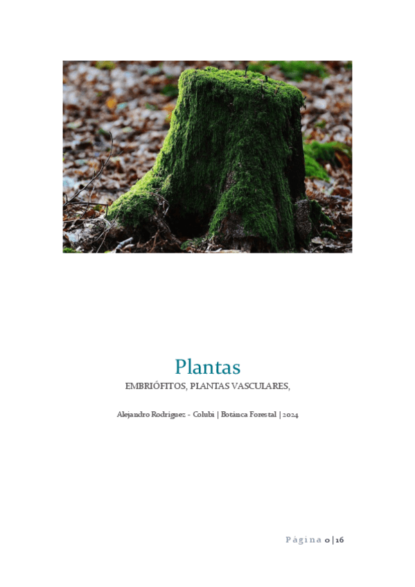Miniatura del documento Apuntes-Plantas.pdf