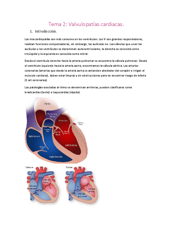 Miniatura del documento Cardiopatologia-T2-valvulopatias.pdf
