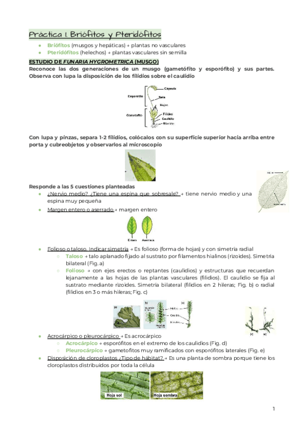 Miniatura del documento Practicas-de-botanica.pdf