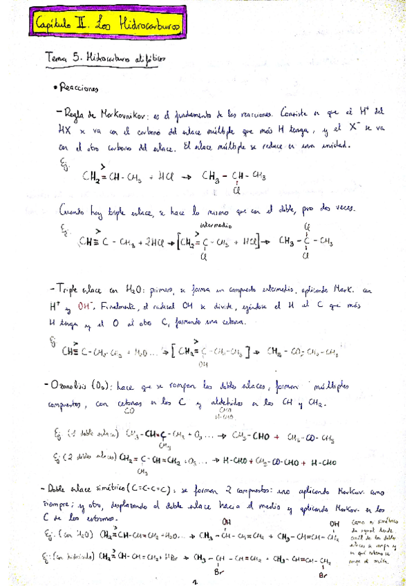 Miniatura del documento Capítulo 2 - Los Hidrocarburos.pdf