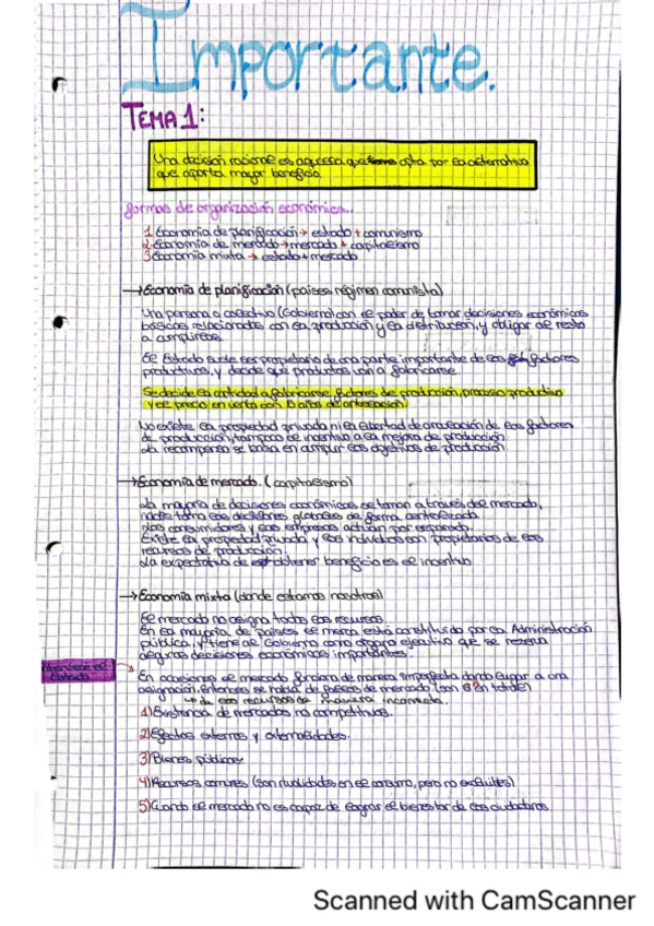 Miniatura del documento Lo-mas-importante-de-cada-tema-INTRODUCCION-A-LA-ECONOMIA.pdf