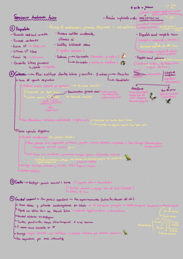 Miniatura del documento seminario-aviar.pdf